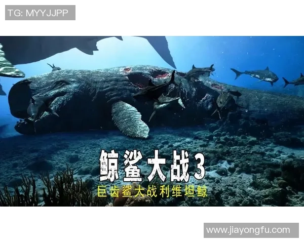 亚特兰大老鹰与国王激战正酣谁能在这场对决中笑到最后