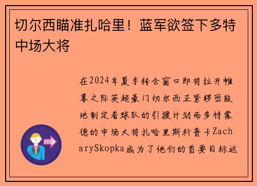 切尔西瞄准扎哈里！蓝军欲签下多特中场大将